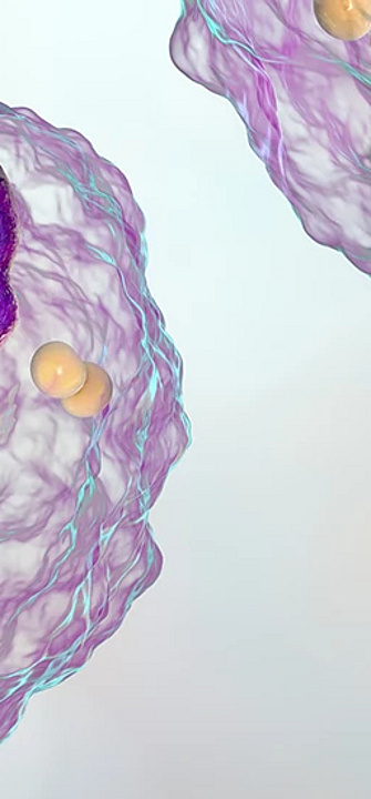 Hoffnung für Patient*innen mit der Diagnose LAL-Defizienz