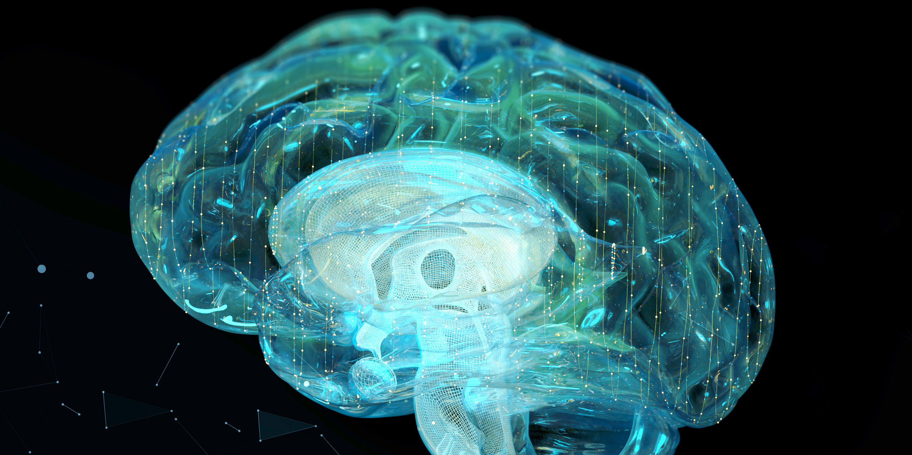 Ein computergeneriertes, transparantes 3D-Modell eines Gehirns schwebt über einem glasähnlichen Untergrund vor Schwarzem Hintergrund.