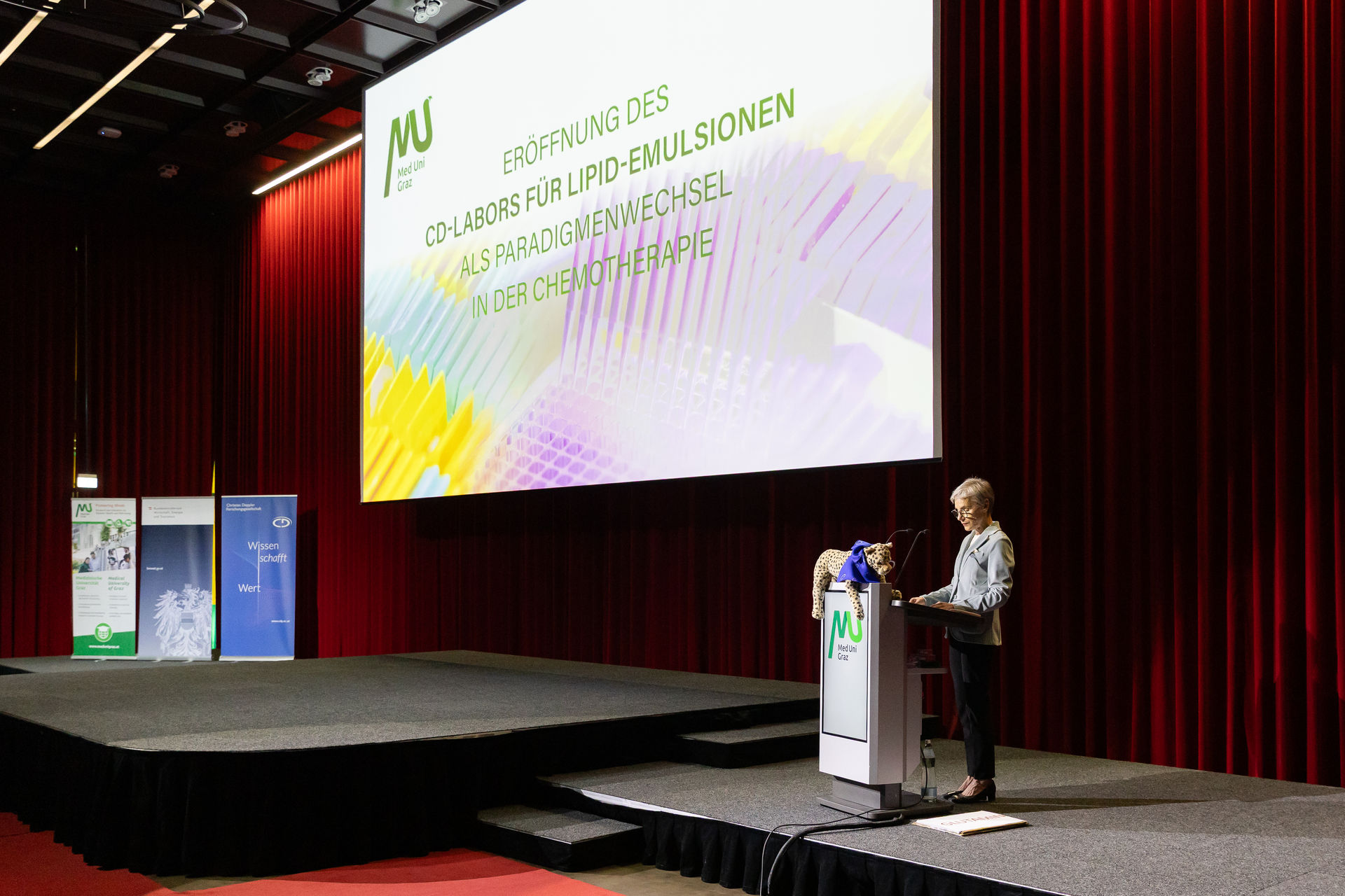Opening of the CD Laboratory