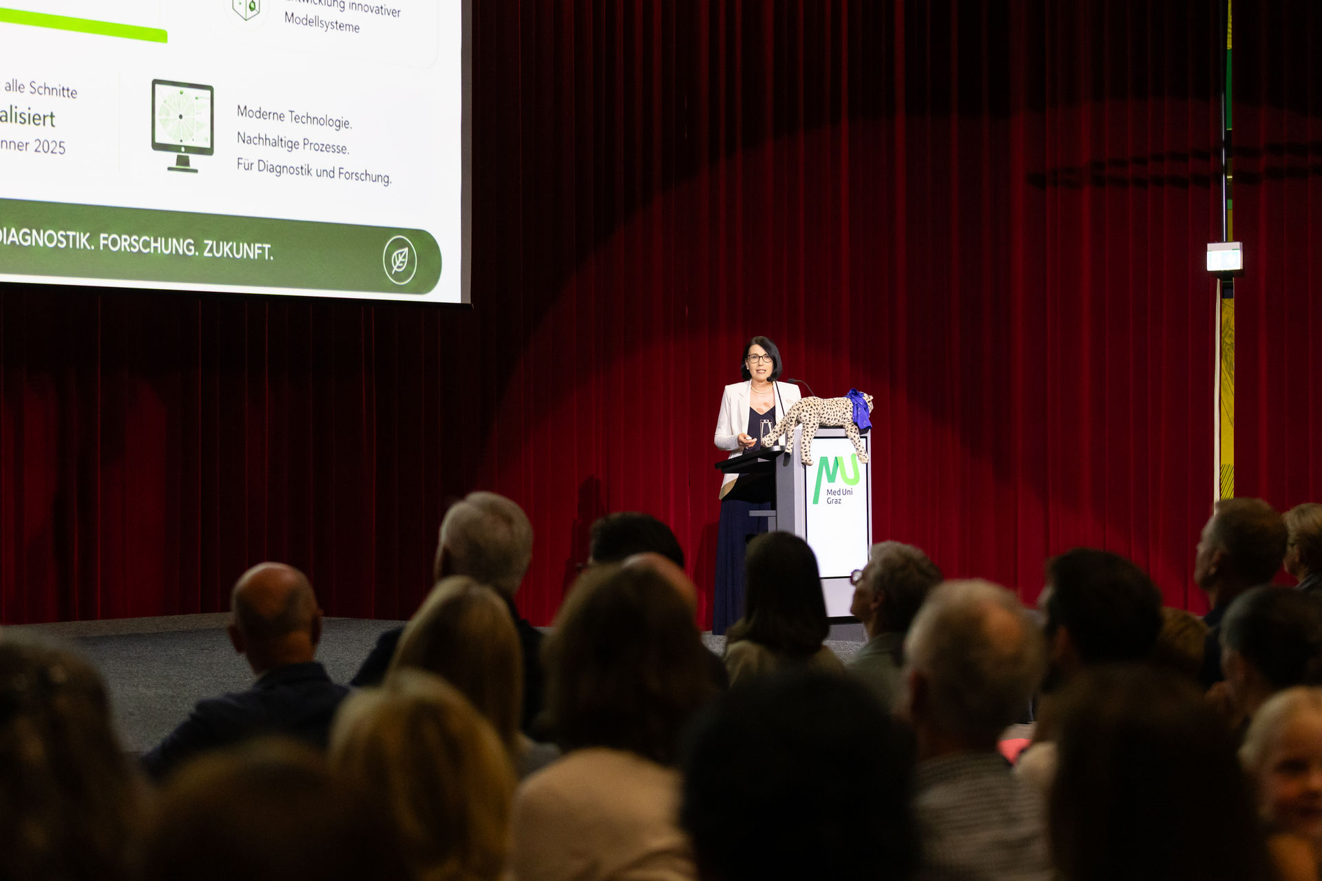 Opening of the CD Laboratory