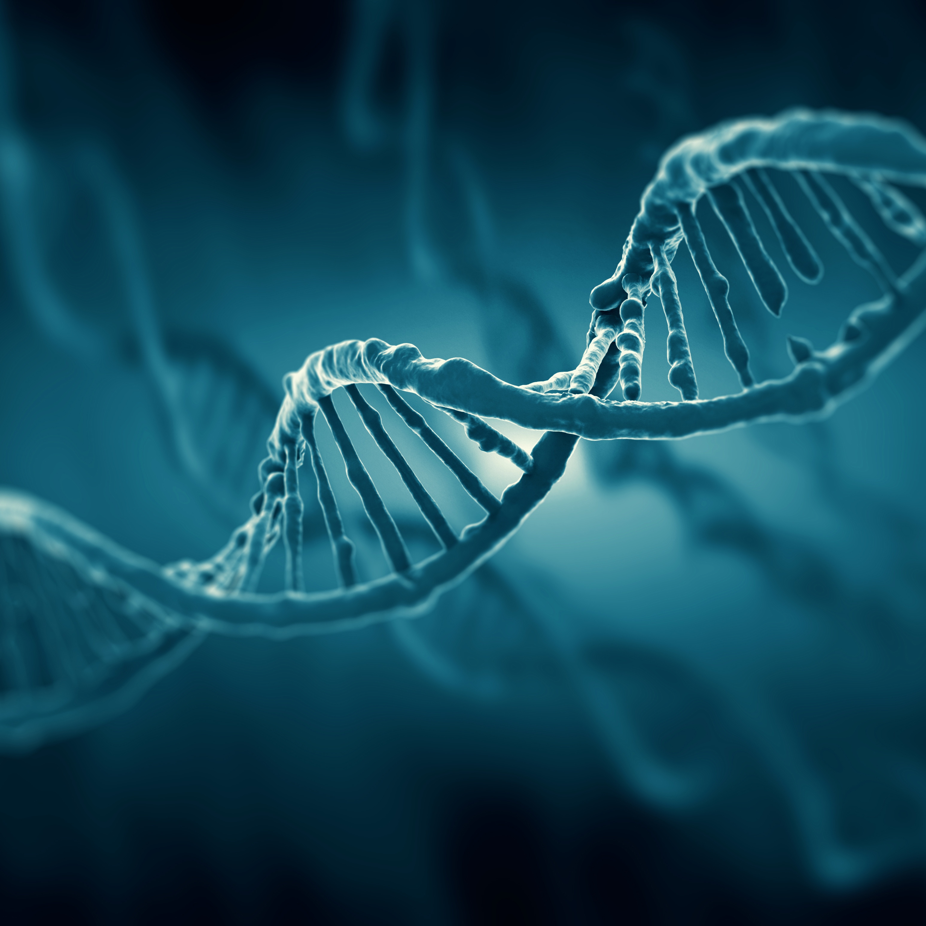 Ein computergeneriertes Modell eines DNA-Stranges