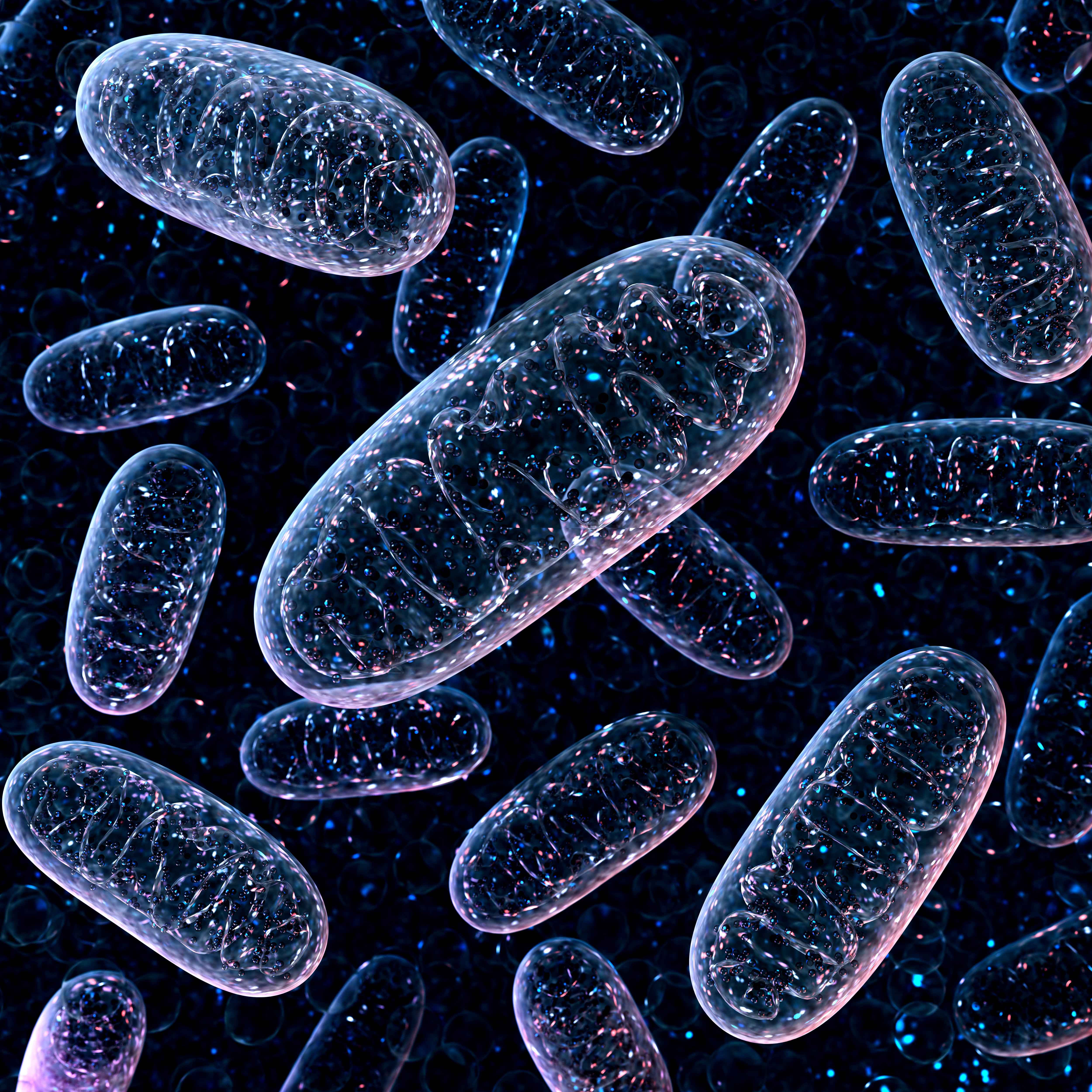 Eine 3D-Darstellung von durchsichtigen, ovalen Mitochonndrien auf einem schwarzen Hintergrund