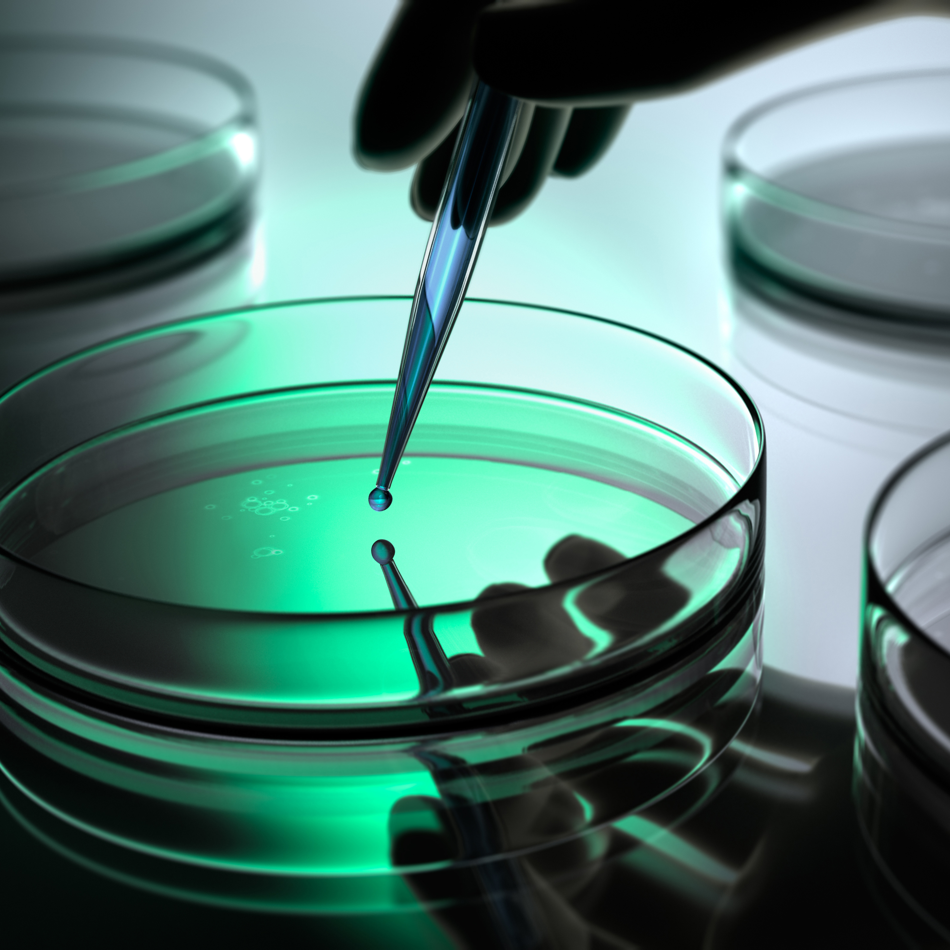 Petrischale und Pipette