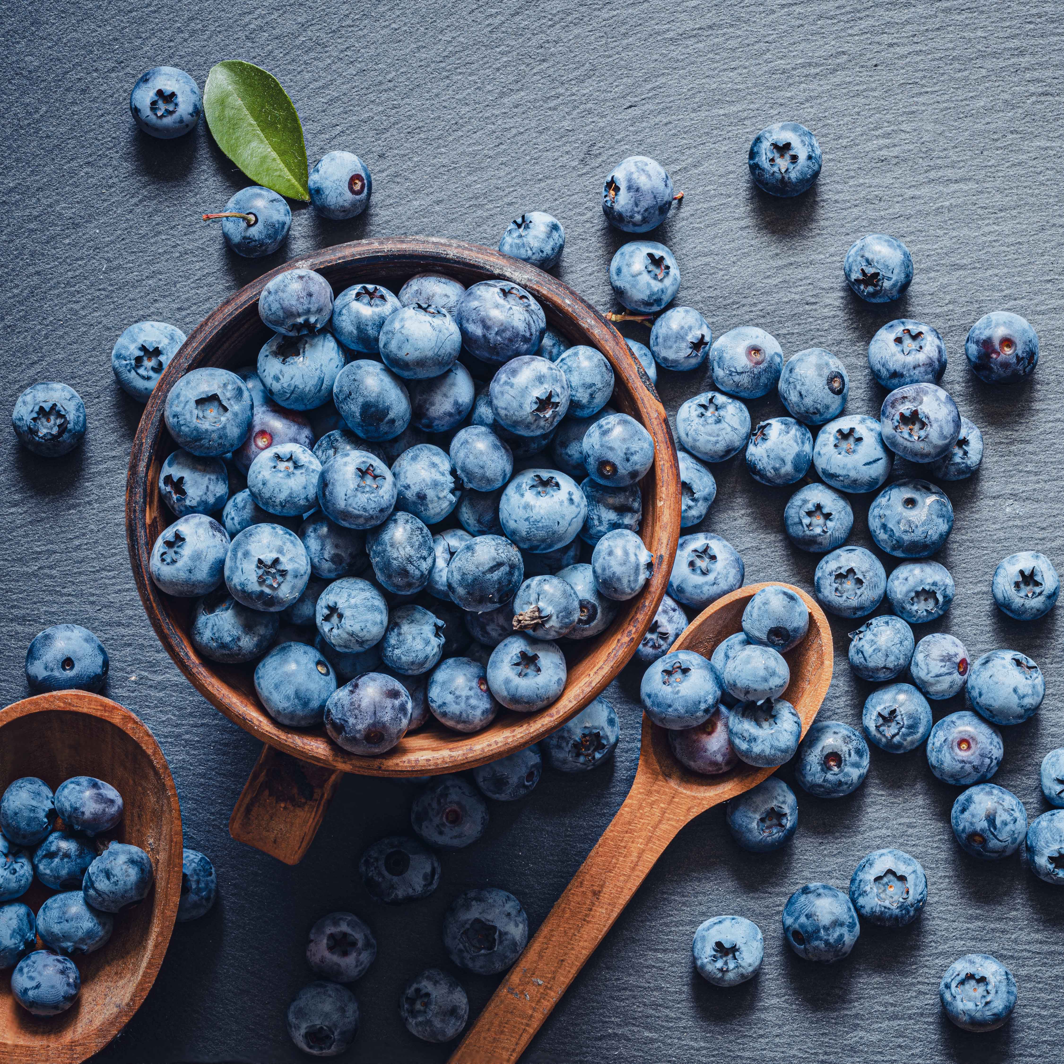 Viele Heidelbeeren auf blau-grauem Hintergrund, in einem Holzbecher und auf Holzlöffeln.