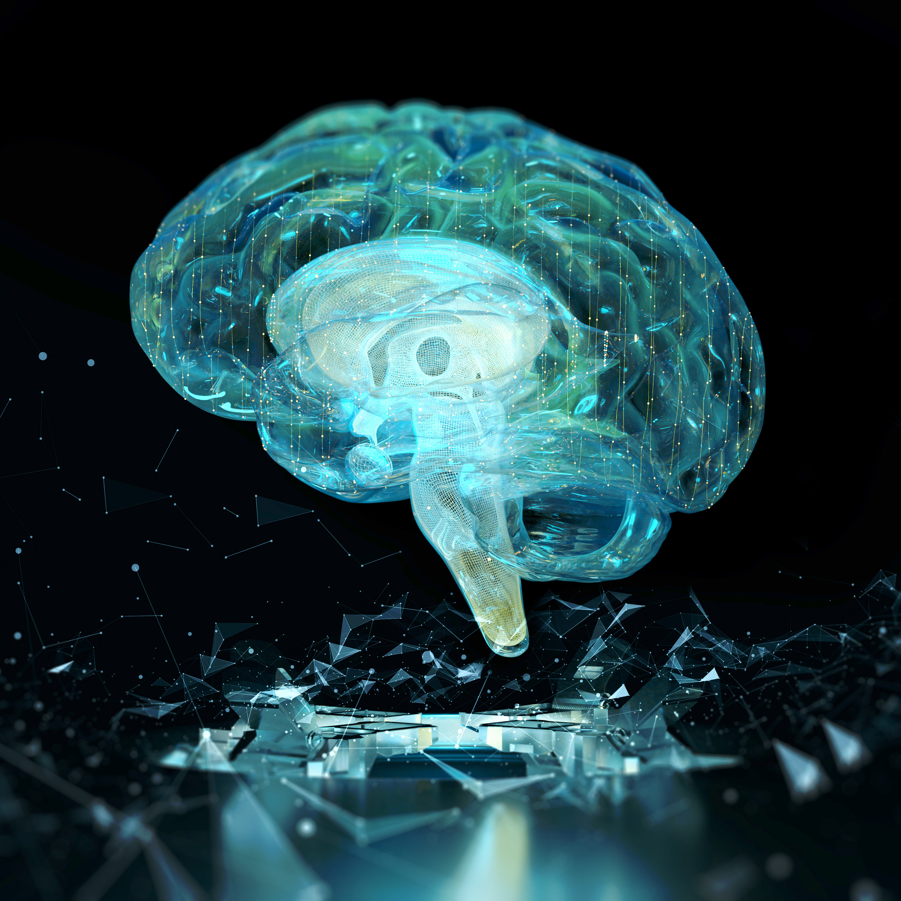 Ein computergeneriertes, transparantes 3D-Modell eines Gehirns schwebt über einem glasähnlichen Untergrund vor Schwarzem Hintergrund.