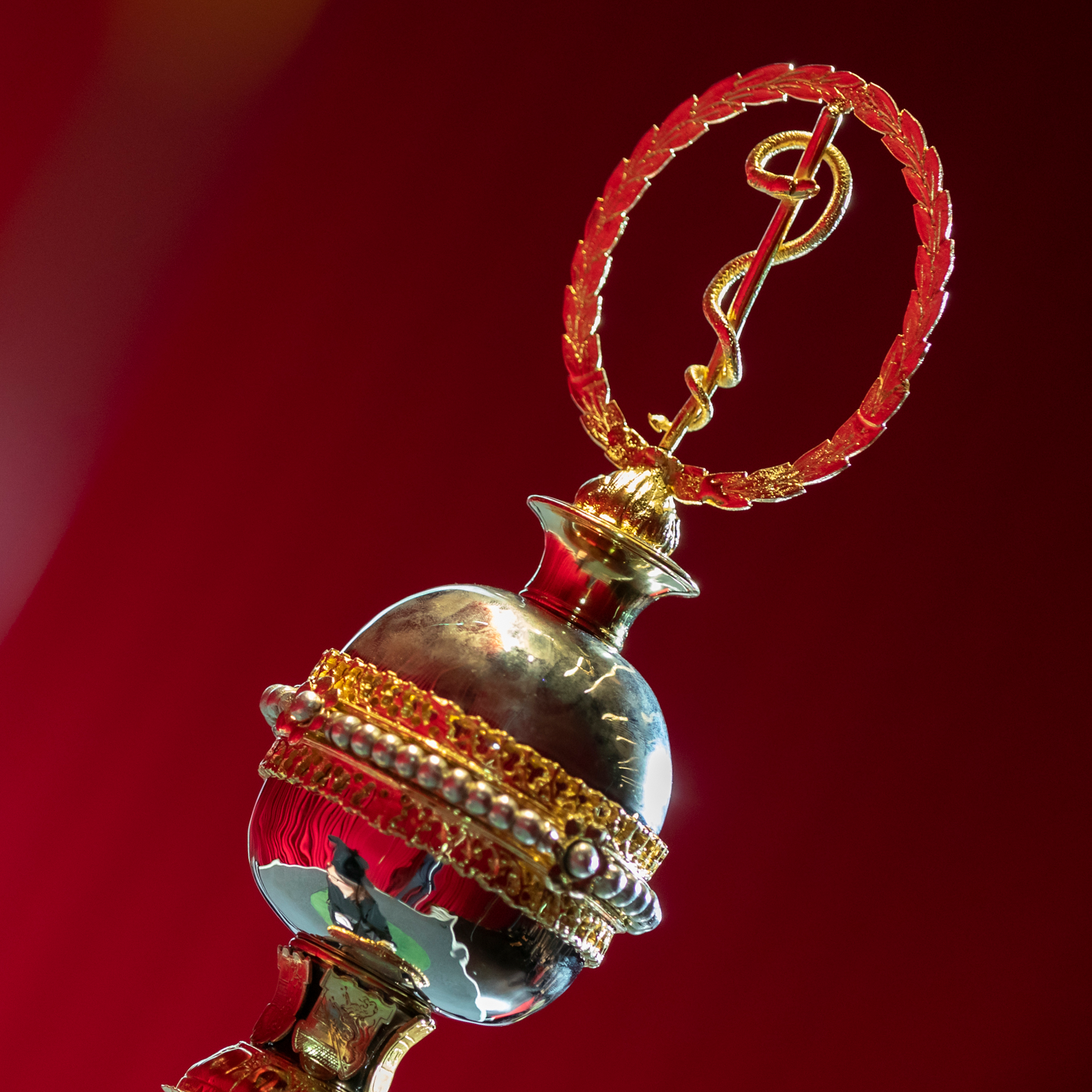 Promotionen und Sponsionen