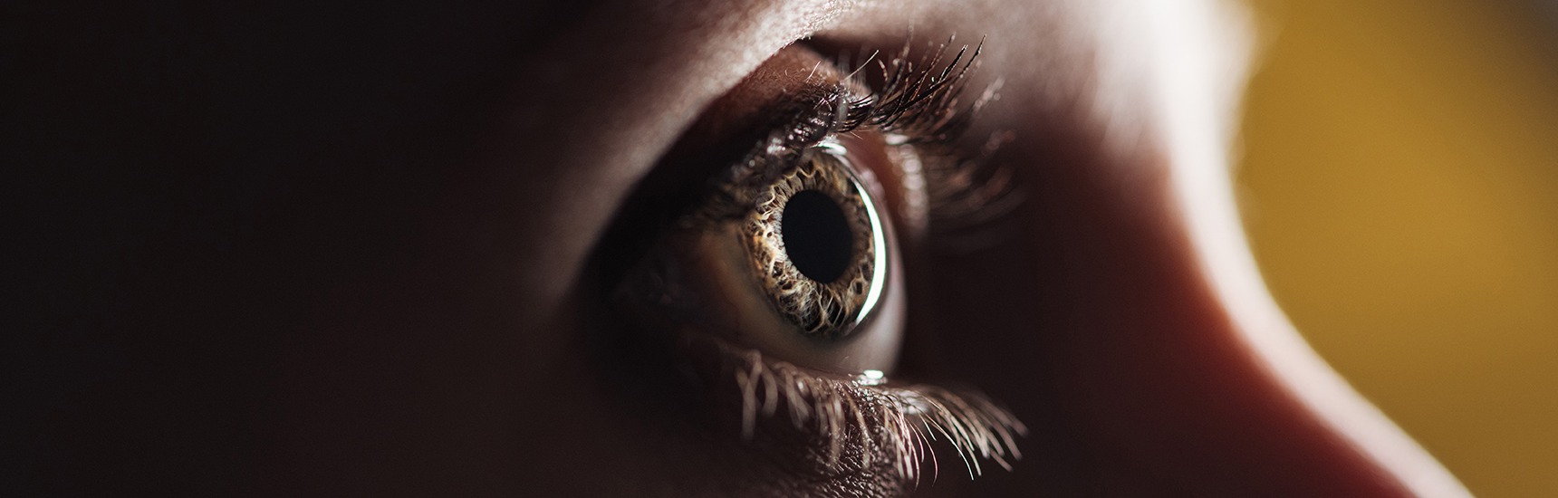 Auge - Credit: LIGHTFIELD STUDIOS/AdobeStock