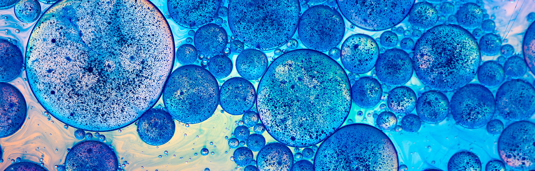 Zellen - Credit: AdobeStock/Daco