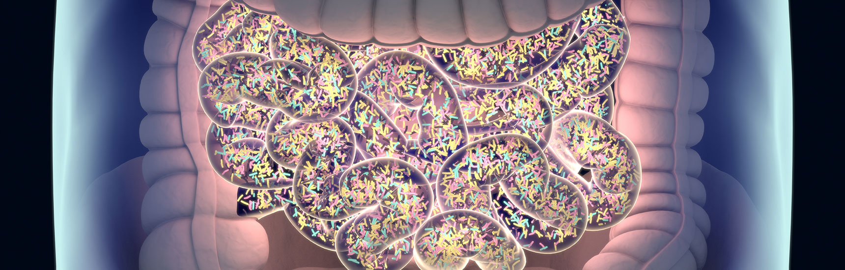 Darmmikrobiom - Credit: AnatomyInsider/AdobeStock