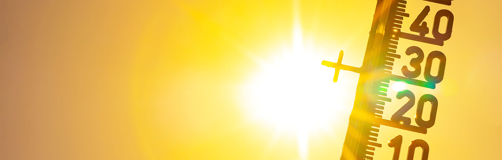 Sonne - Credit: Corri Seizinger/AdobeStock