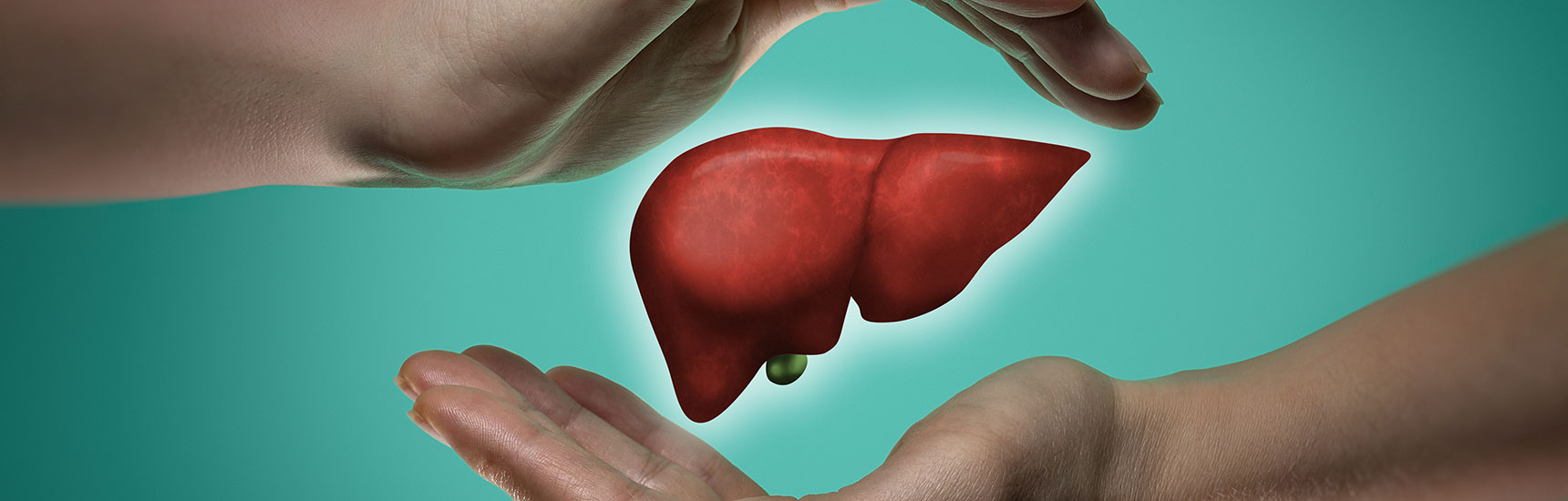 Leber - AdobeStoke/svetazi
