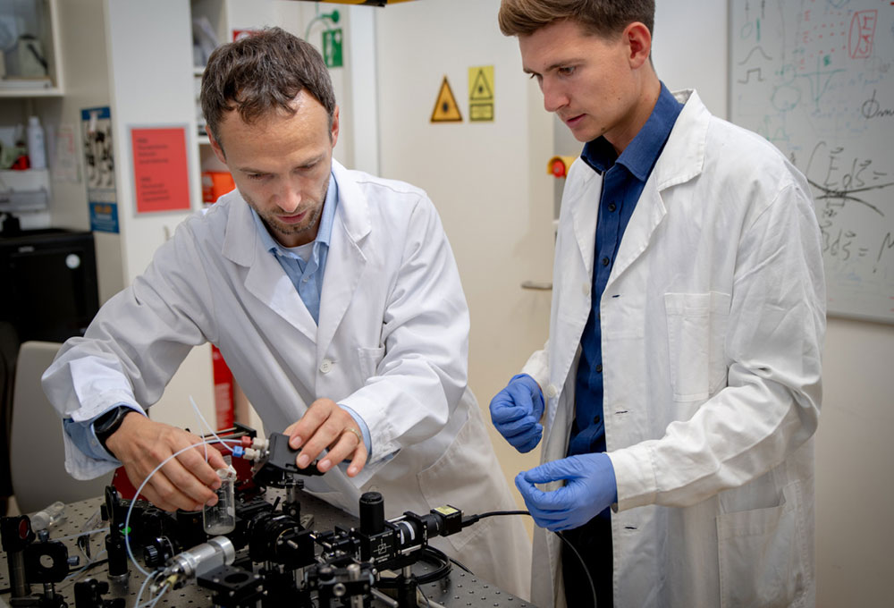 BRAVE Analytics/Leljak