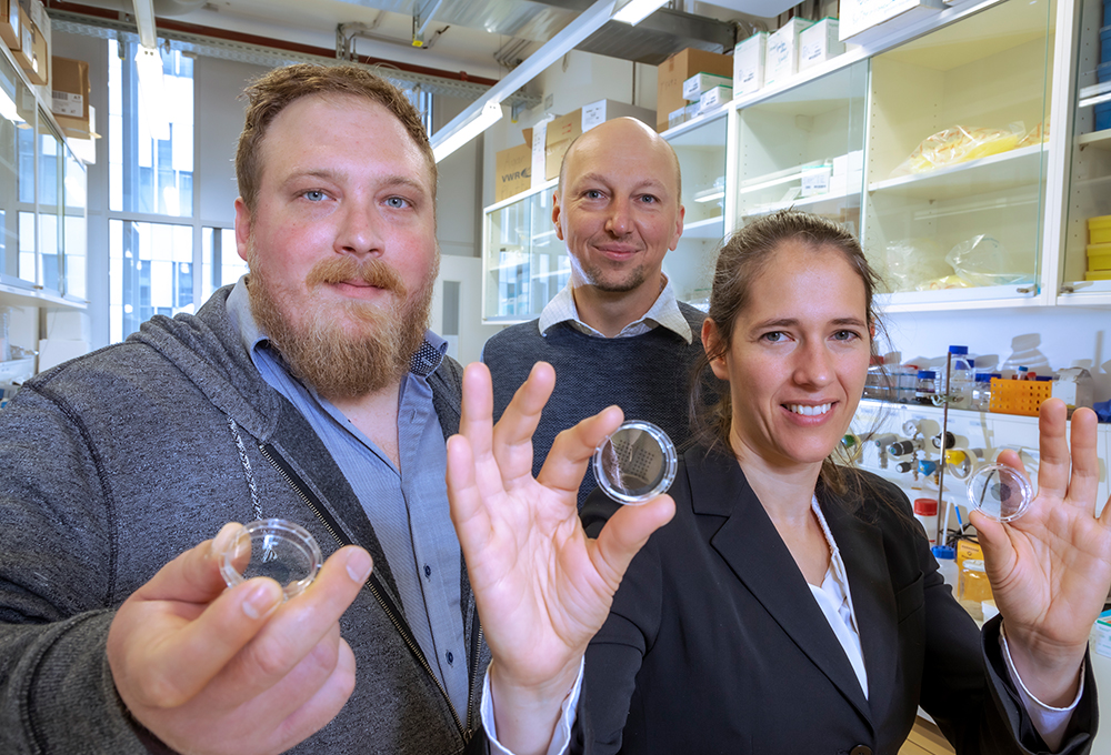 Gruppenbild der drei Forscher*innen im Labor