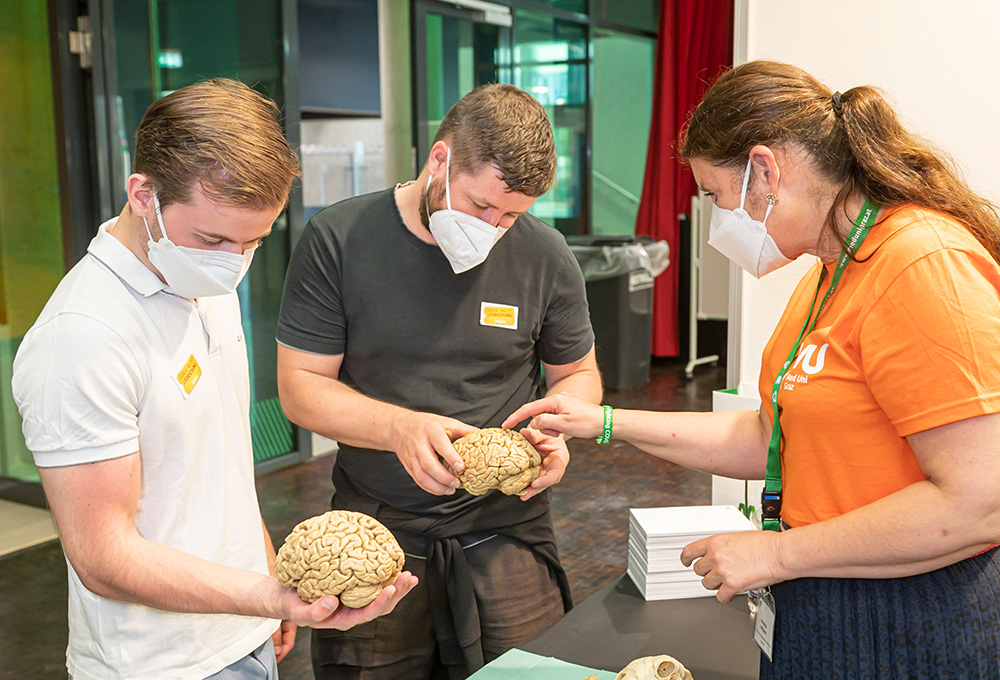 Einblicke - Was zeigt uns die Anatomie?