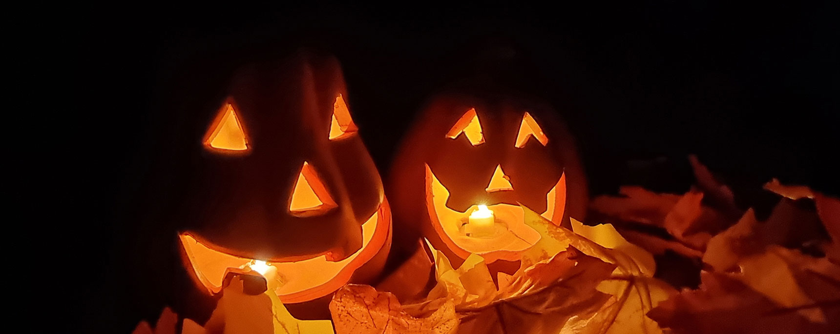 Geschnitzte Kürbisse