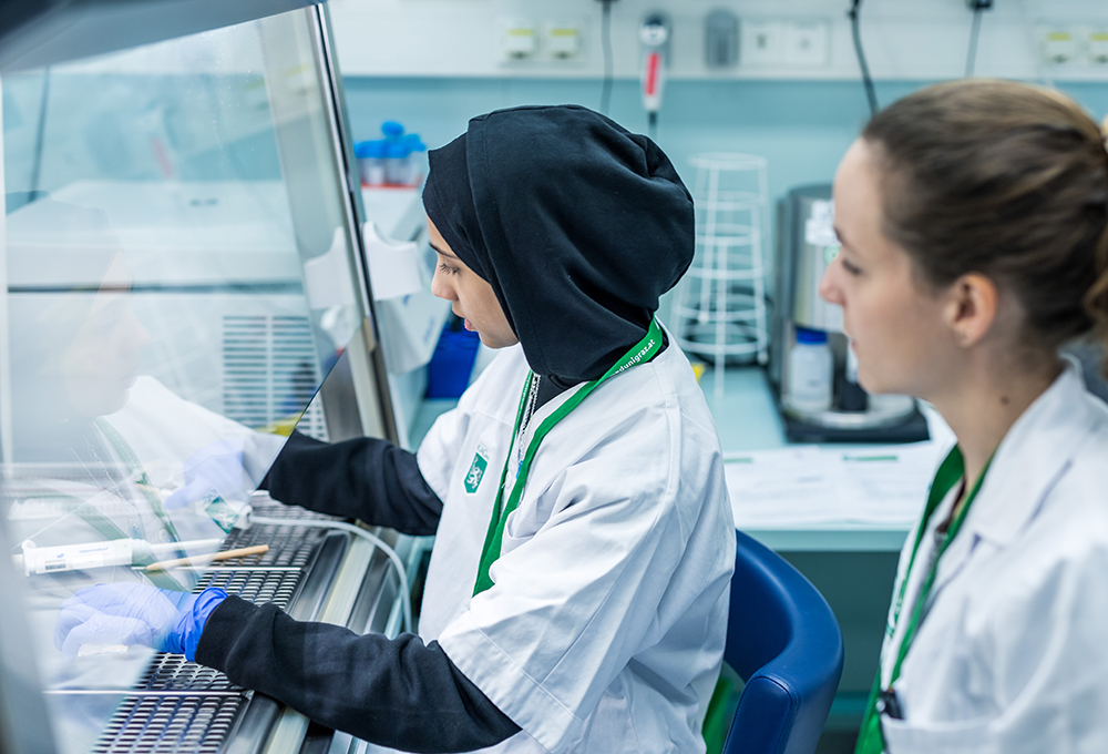 Einblicke ins Labor - Bild: Mario Zaunschirm