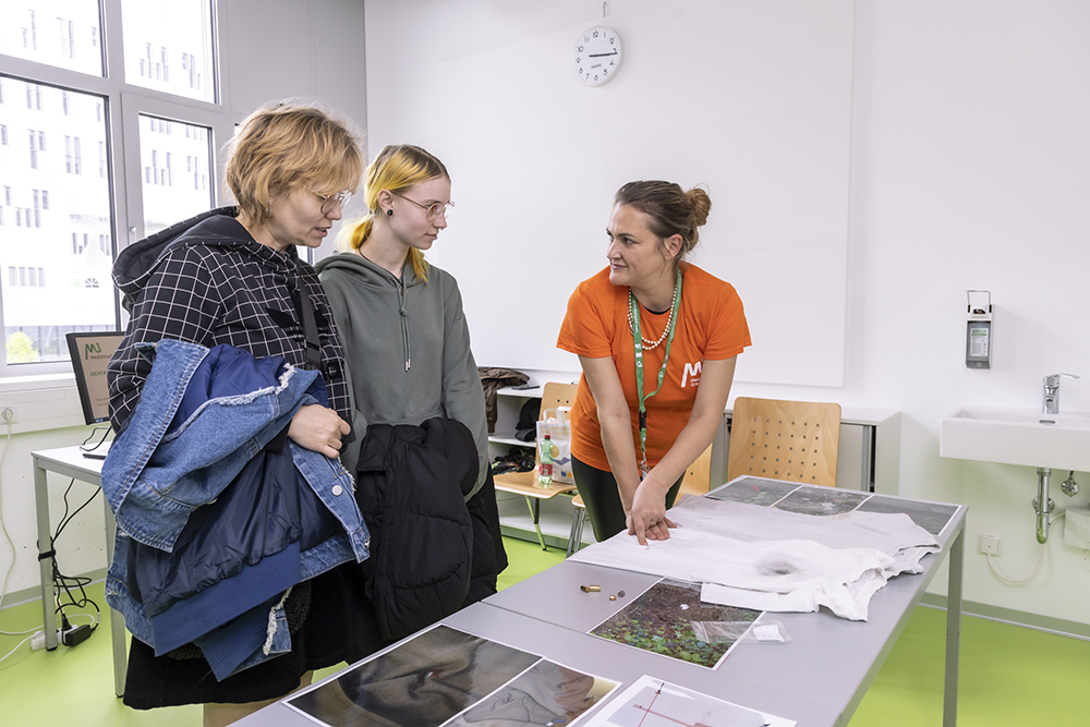 Einblicke in die Forschung ...