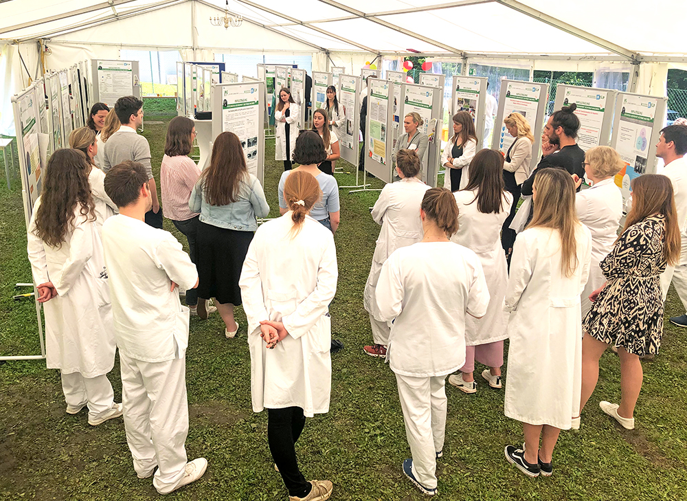 Posterwalk bei der Impulstagung