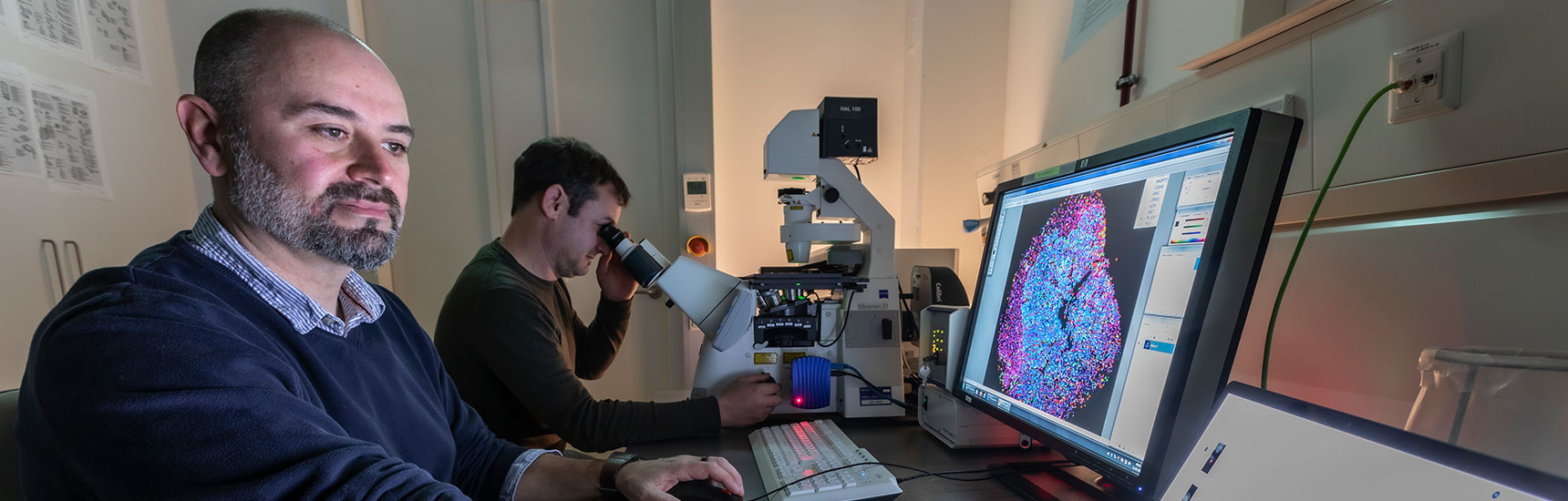 Histologie - Med Uni Graz/Lunghammer