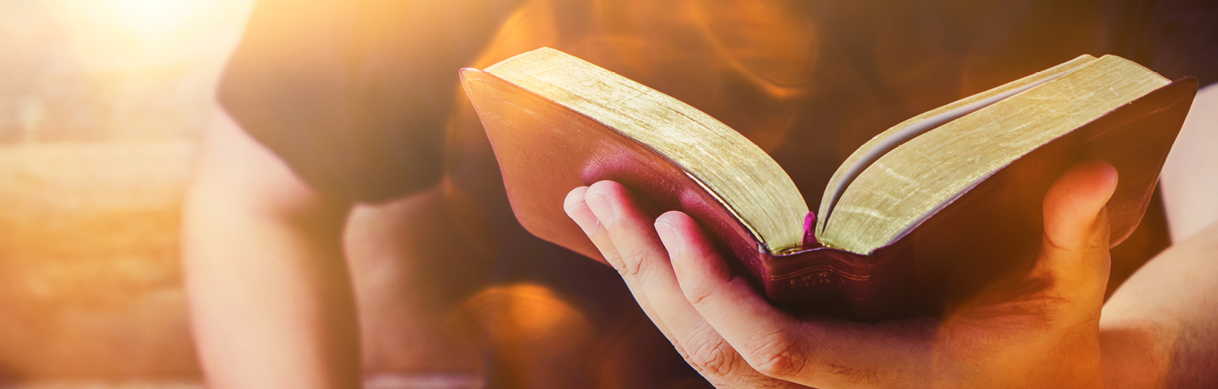 Lesetipp/isara/AdobeStock.com