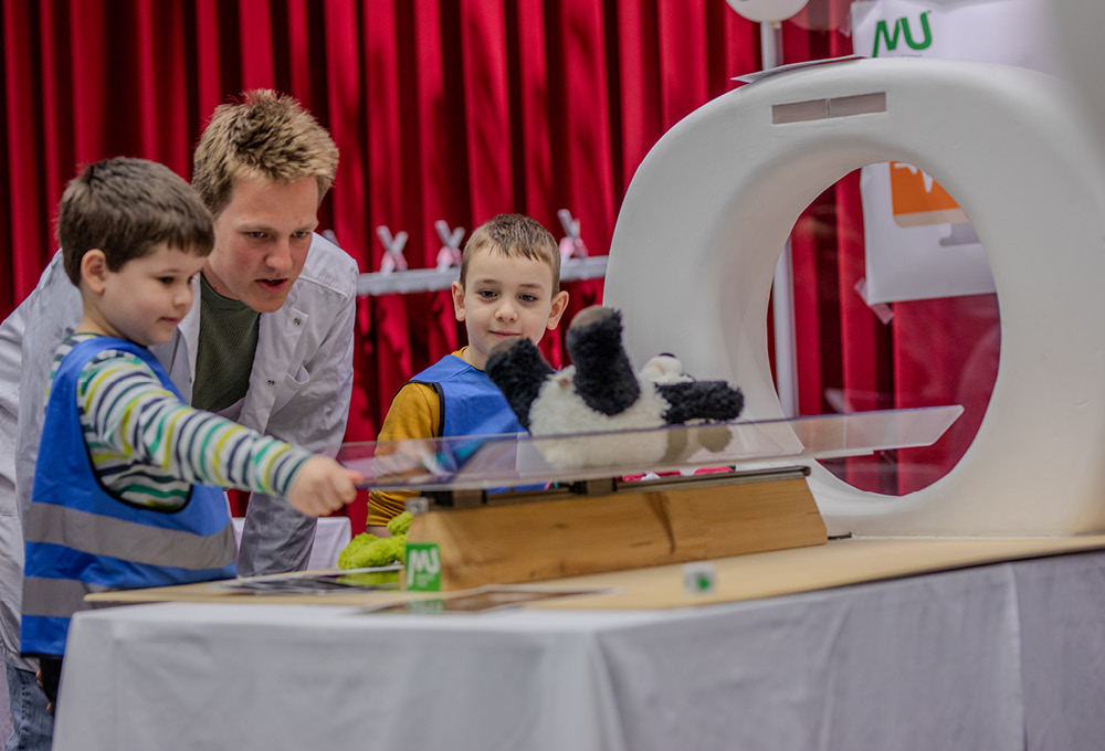 Der Panda wird geröntgt 