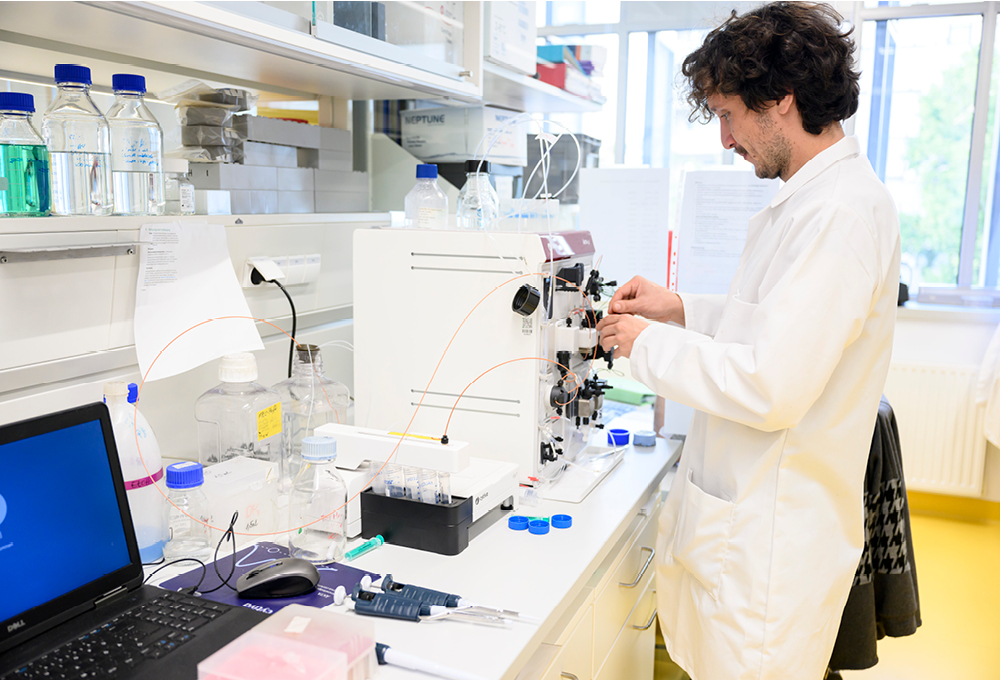 Im Lipidhydrolyse-Labor der Med Uni Graz ist man fettspaltenden Enzymen auf der Spur 