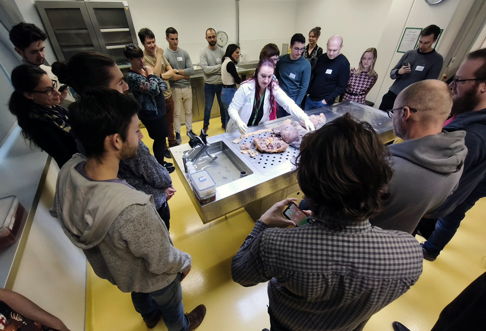 Die XAI Summer School war ein voller Erfolg