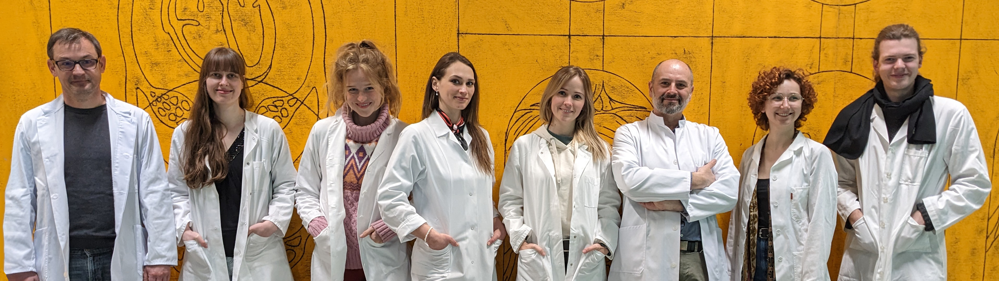 Forschungsgruppe von Thomas Kroneis