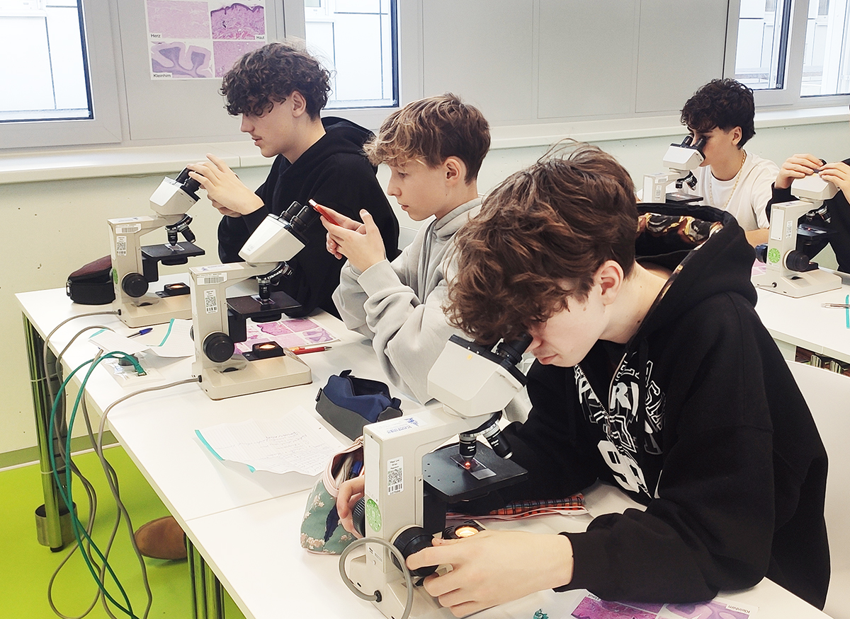 Praktische Fähigkeiten für die Krebsforschung 