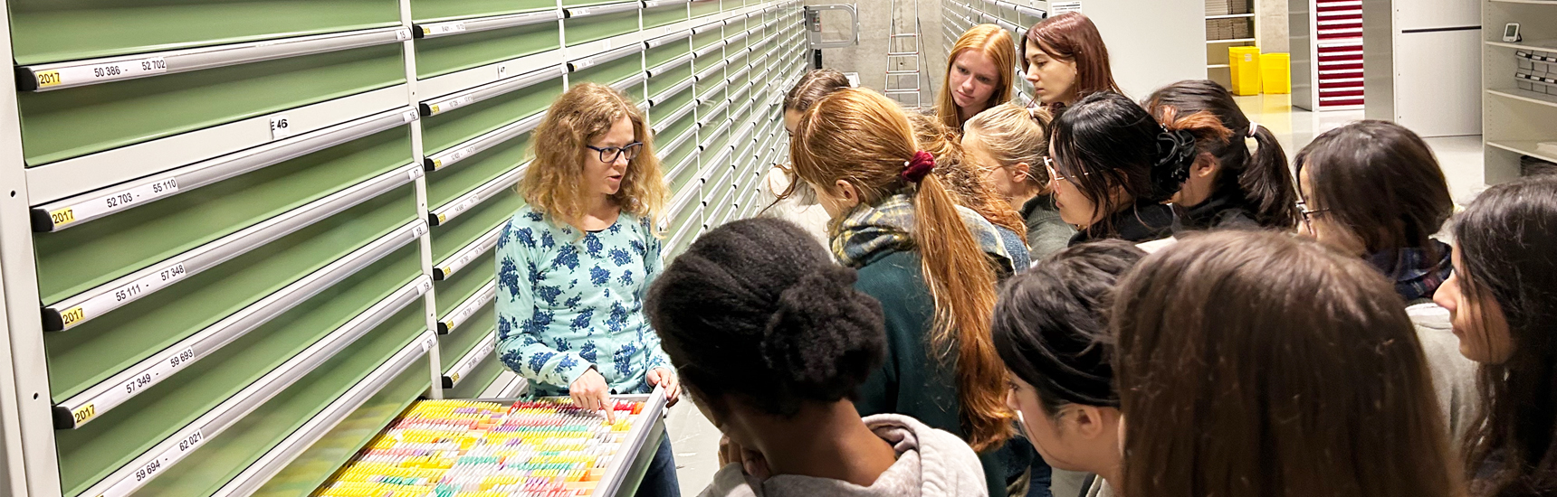 DigiPath-Krebskampf: Medizin trifft Schule