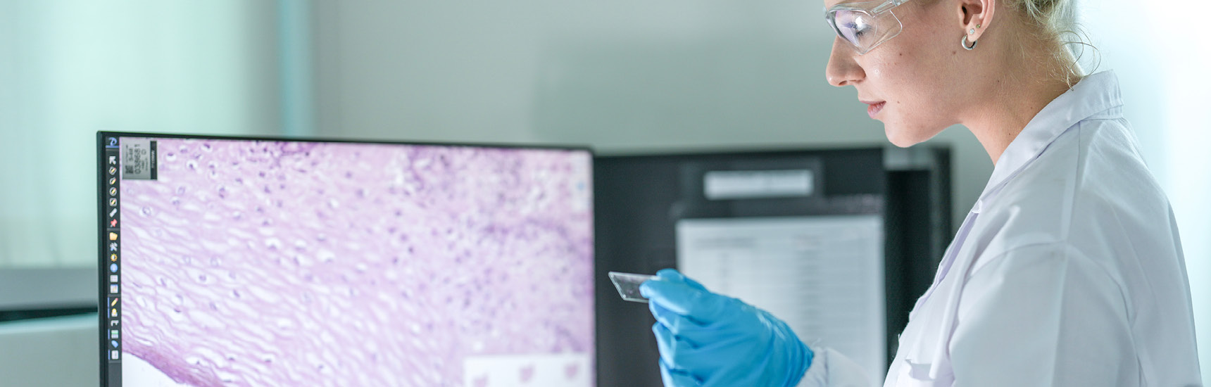 XAI Summer School 2025 - Foto: ultramansk/AdobeStock.com