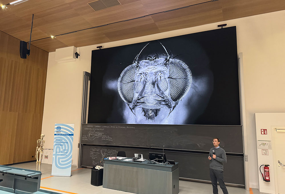 Lukas Groschner sprach über seine Forschung am Fliegenhirn. - Credit: Med Uni Graz