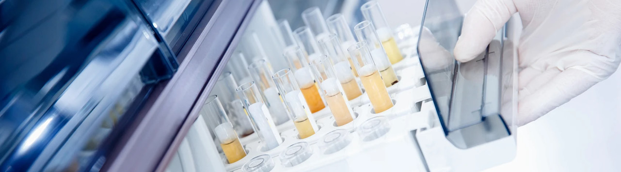 Schüler*innen zu Besuch am Zentrum für Biomedizinische Forschung