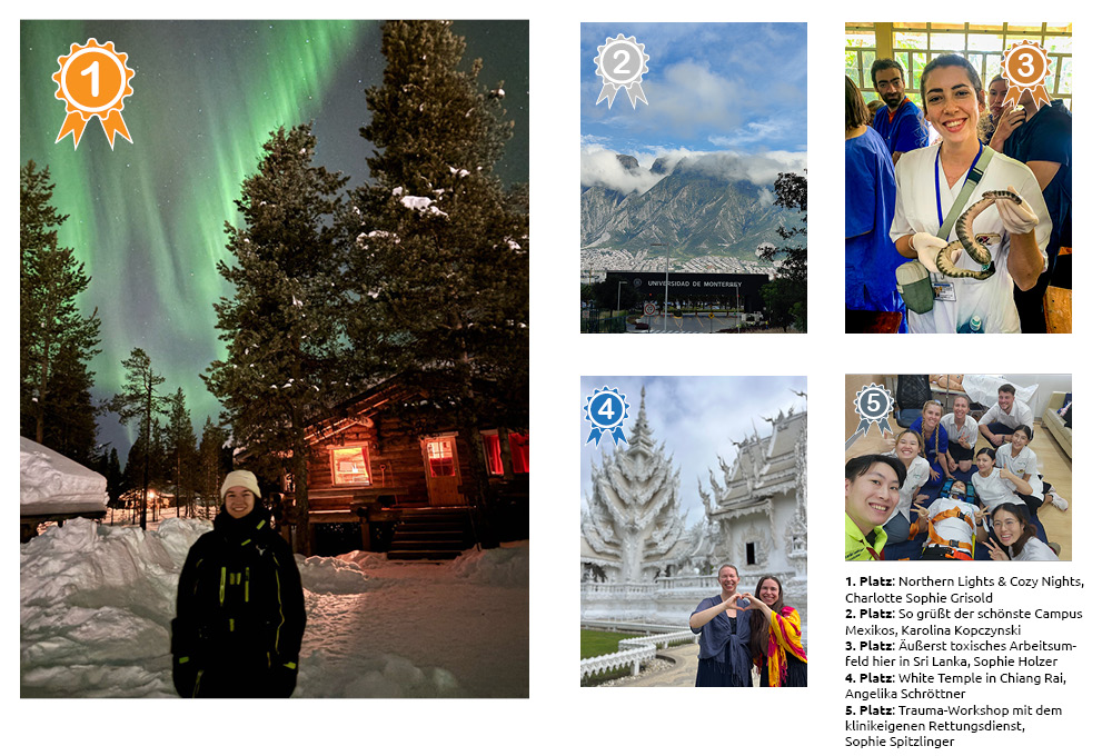 Die 5 Siegerbilder des Fotowettbewerbes 