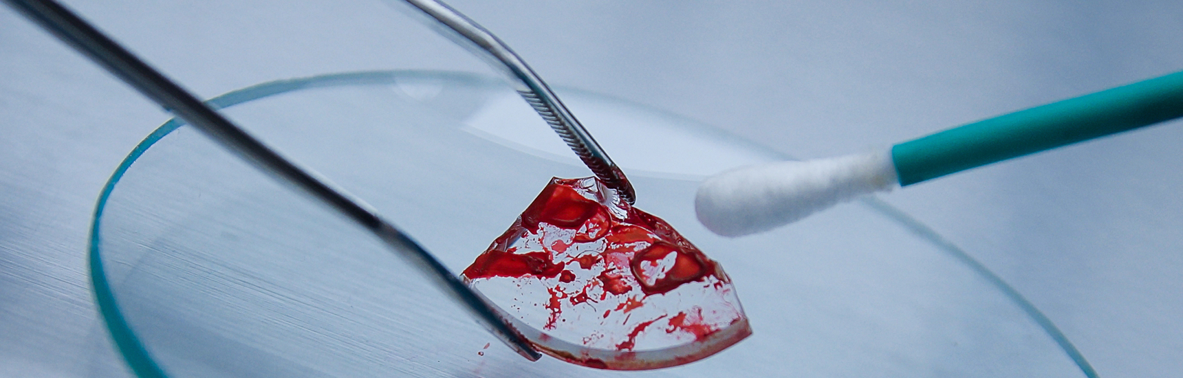 Gerichtsmedizin - mario beauregard/AdobeStock