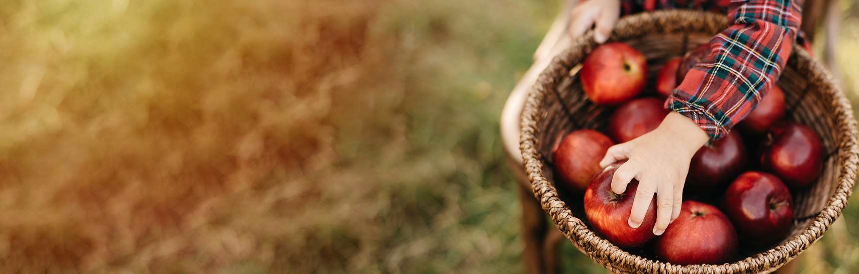 Aepfel in einem Korb - Credit: Serenkonate/adobe.stock.com