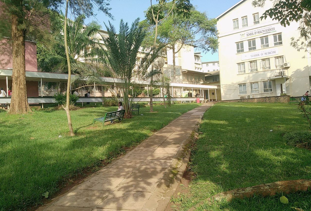 School of Health Science