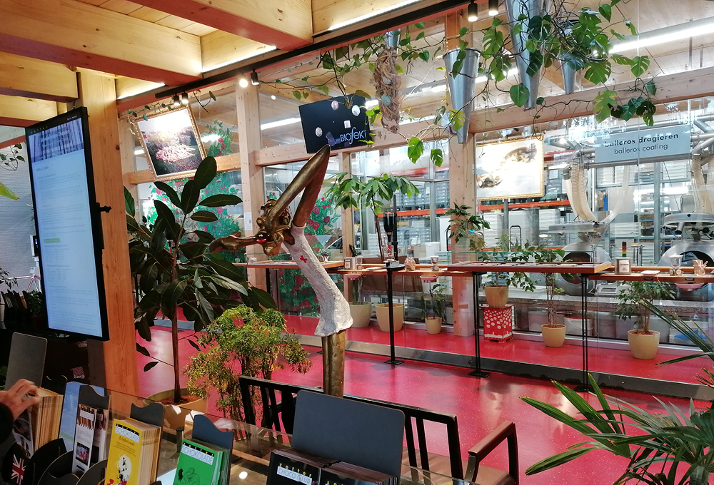 Exciting insights into the world of chocolate production